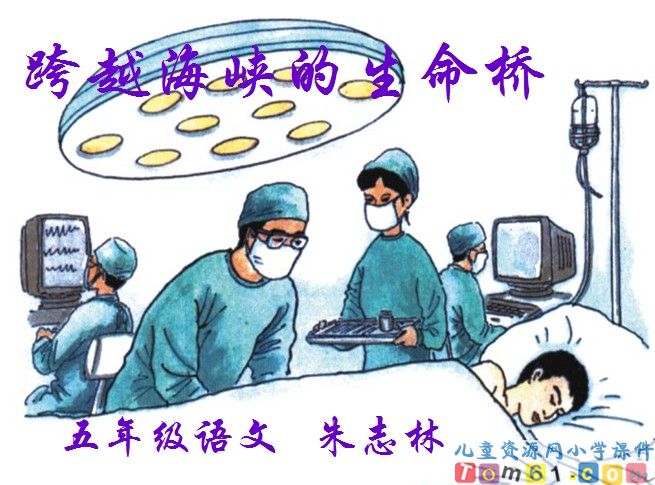 跨越海峡的生命桥
