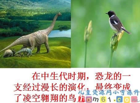 飞向蓝天的恐龙