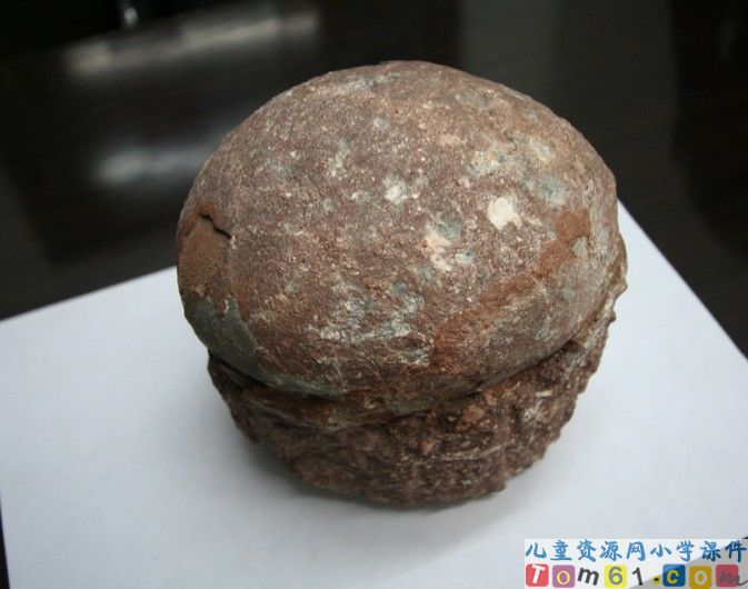 飞向蓝天的恐龙