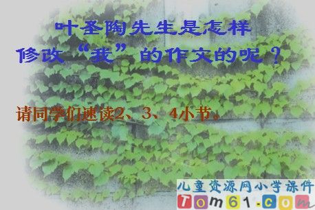 那片绿绿的爬山虎