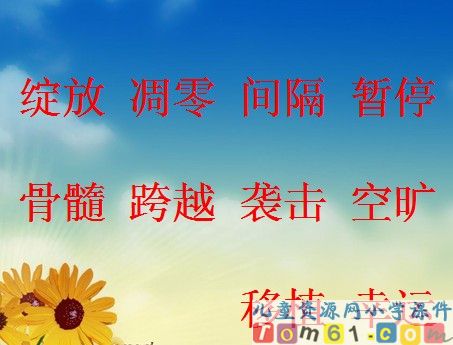 跨越海峡的生命桥