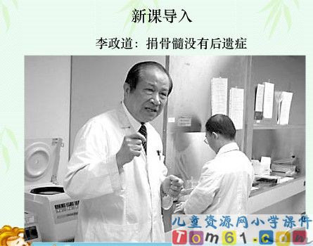 跨越海峡的生命桥