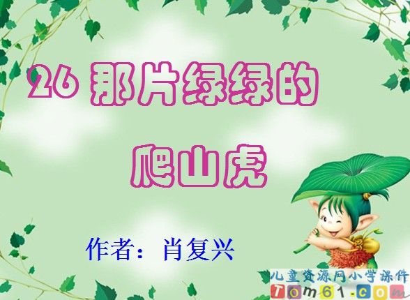 那片绿绿的爬山虎