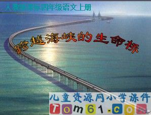 跨越海峡的生命桥
