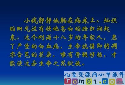 跨越海峡的生命桥