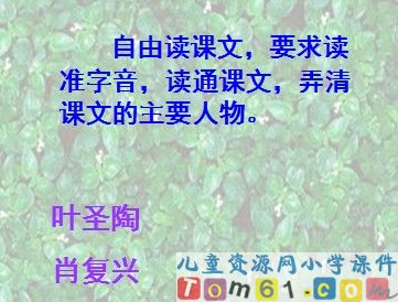 那片绿绿的爬山虎