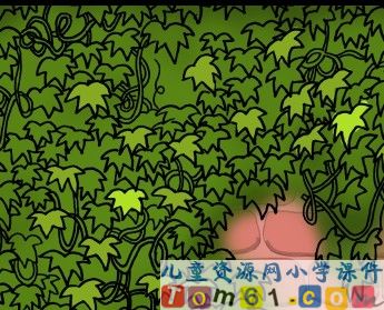 那片绿绿的爬山虎