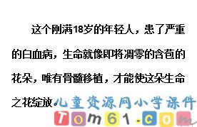 跨越海峡的生命桥