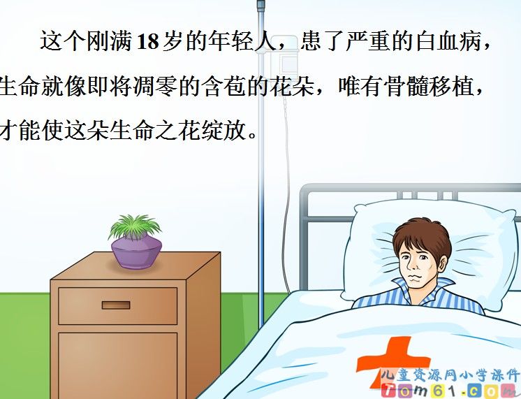 跨越海峡的生命桥