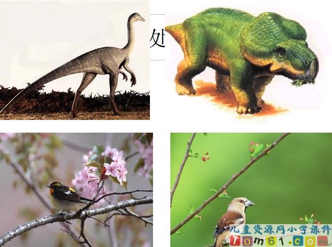 飞向蓝天的恐龙