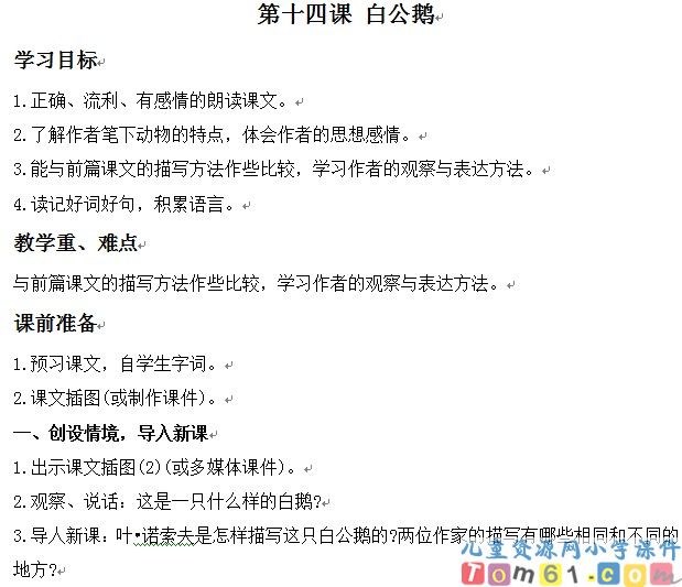 白公鹅