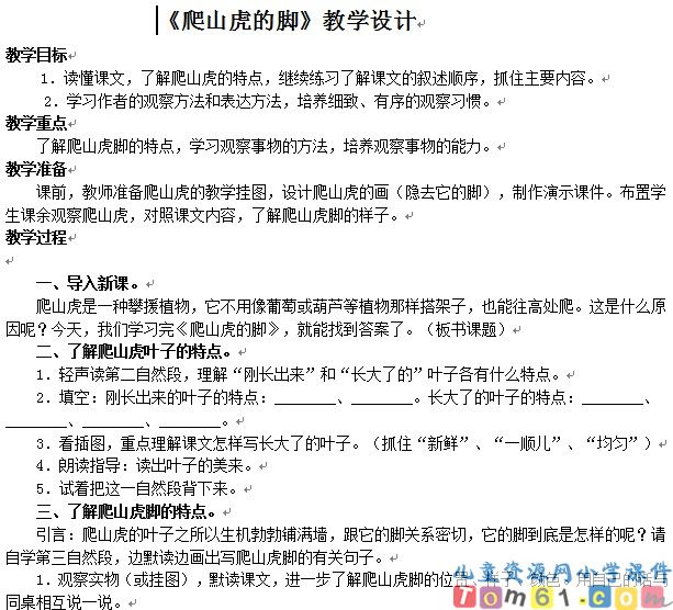 爬山虎的脚
