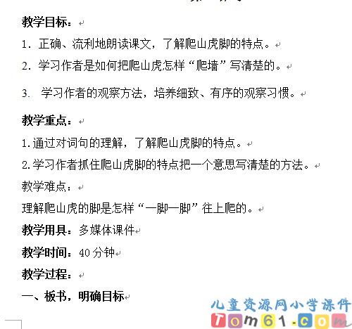 爬山虎的脚