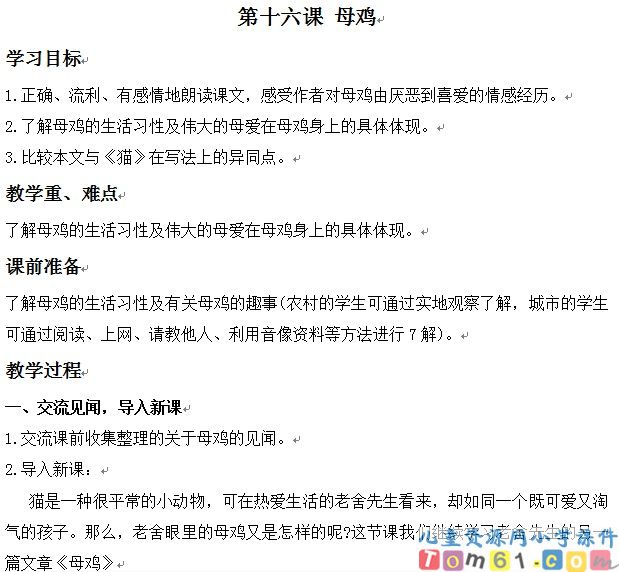 母鸡