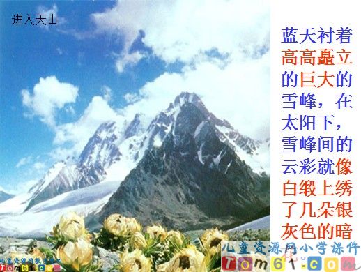 七月的天山课件2
