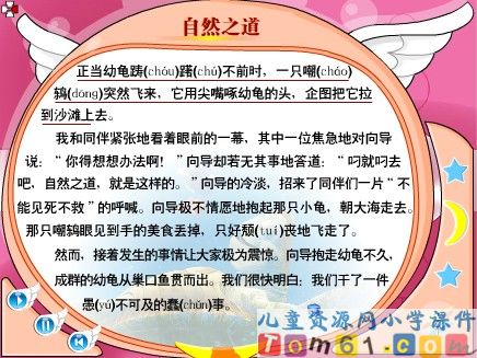 大自然的启示课件2