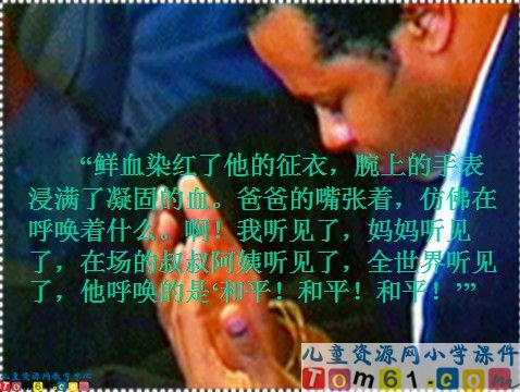 一个中国孩子的呼声课件1