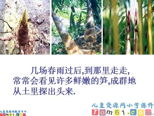 乡下人家课件2