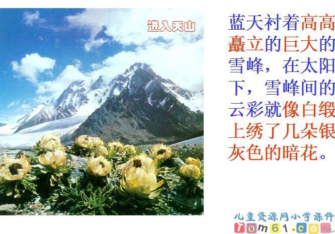 七月的天山
