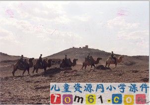 七月的天山