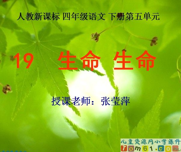 生命_生命