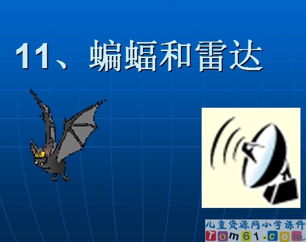 蝙蝠和雷达