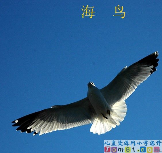 自然之道