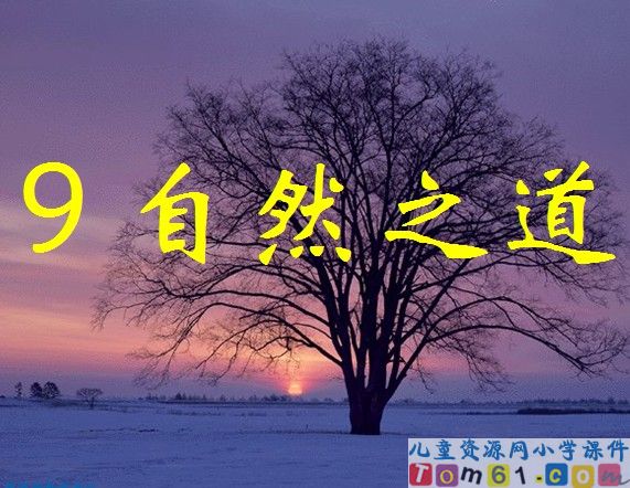 自然之道