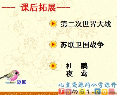夜莺的歌声