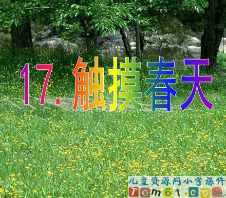 触摸春天