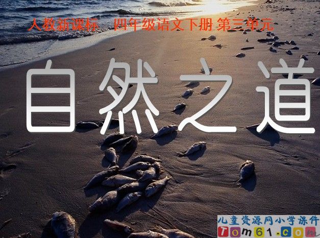自然之道