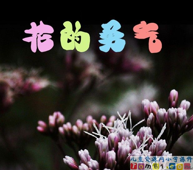 花的勇气