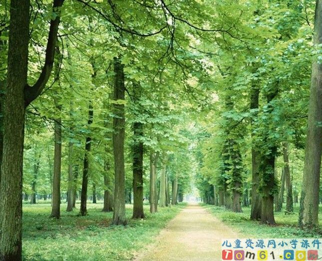 大自然的启示