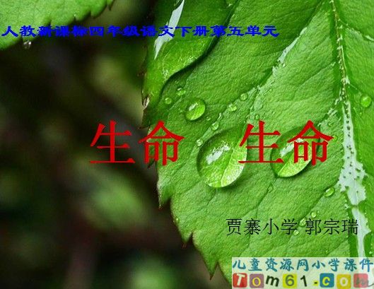 生命_生命