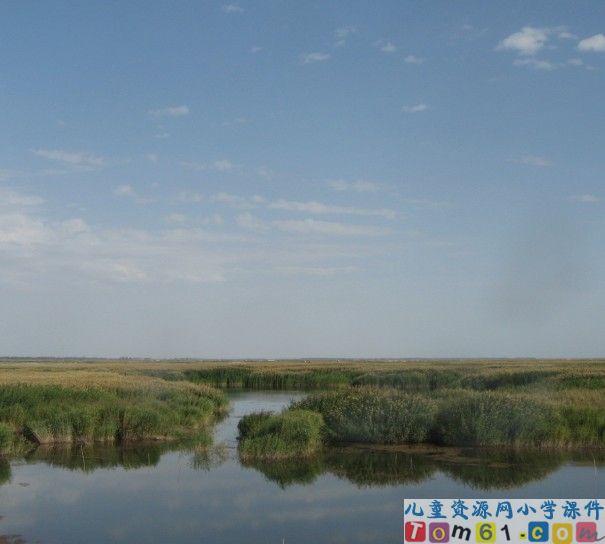 小英雄雨来