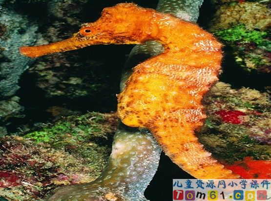 自然之道