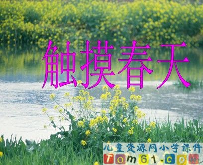 触摸春天