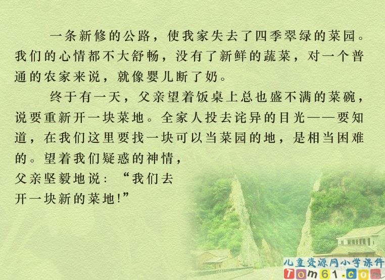 父亲的菜园