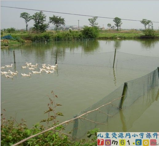 语文园地六