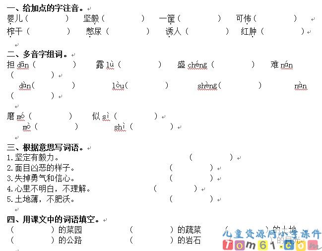 父亲的菜园