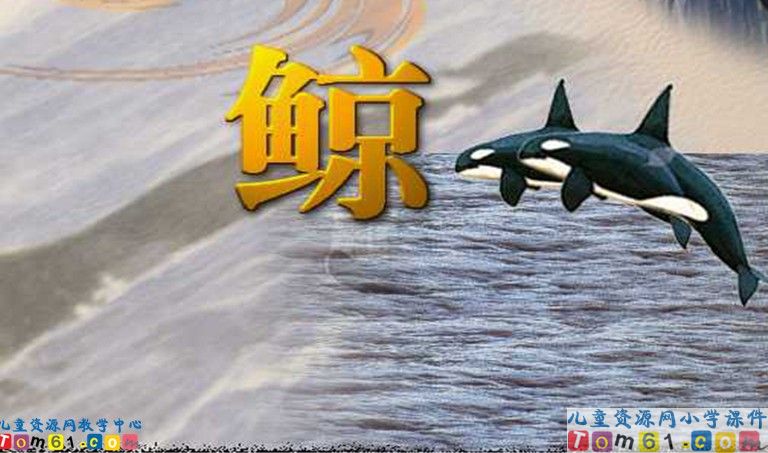 鲸