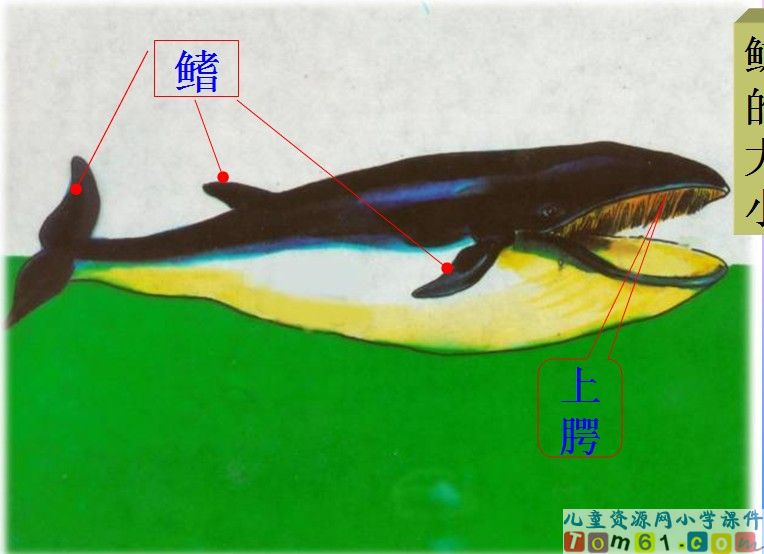 QQ截图20120211115457.jpg