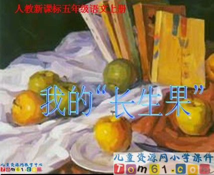 我的“长生果”