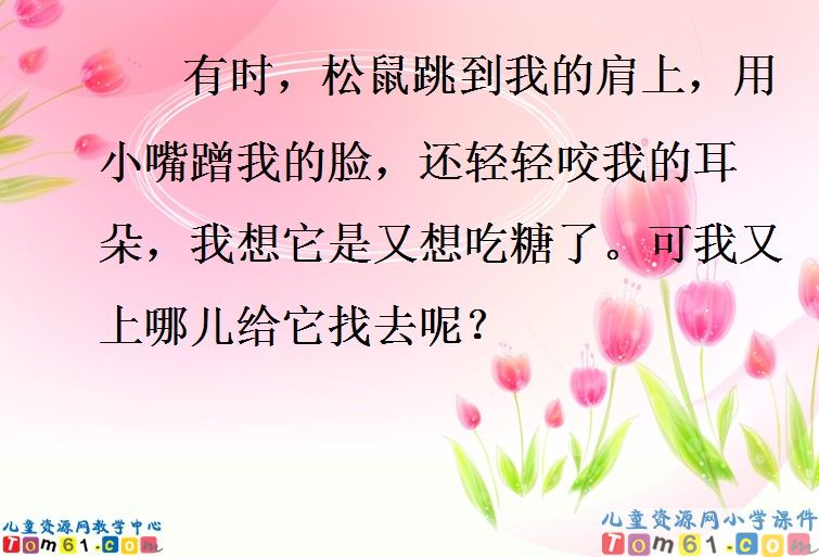 跑进家来的松鼠