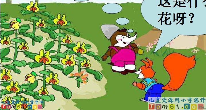 小松鼠找花生
