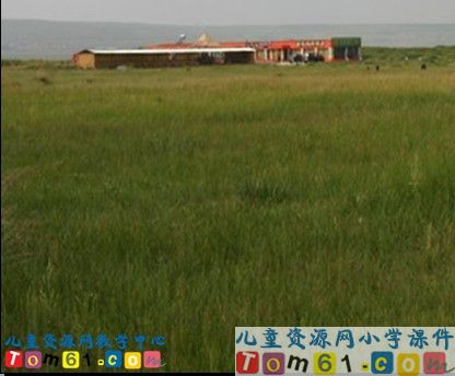 草原