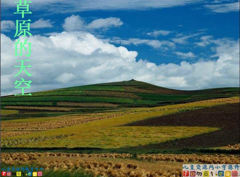 草原