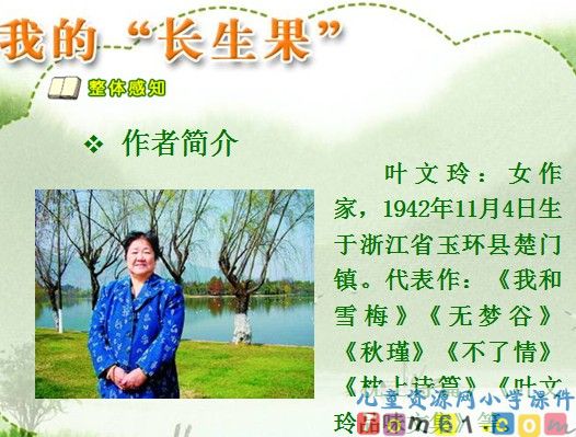 我的“长生果”课件6