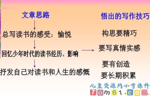 我的“长生果”课件14