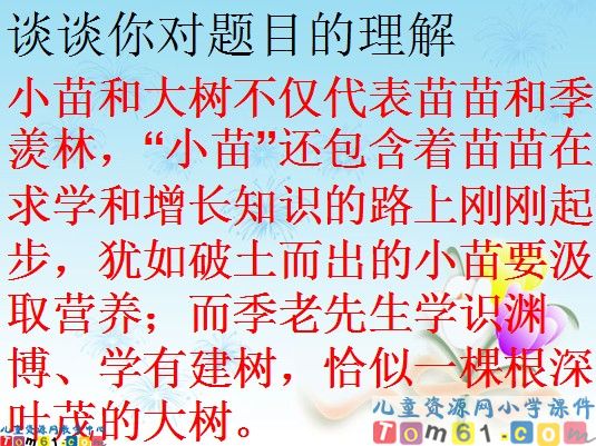 小苗和大树的对话课件1